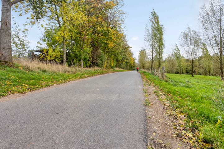 Photo 32 of Honthem 11