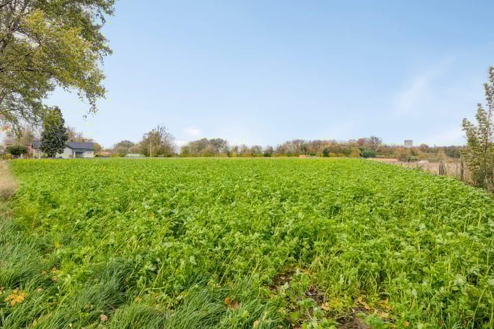 Photo 33 of Honthem 11