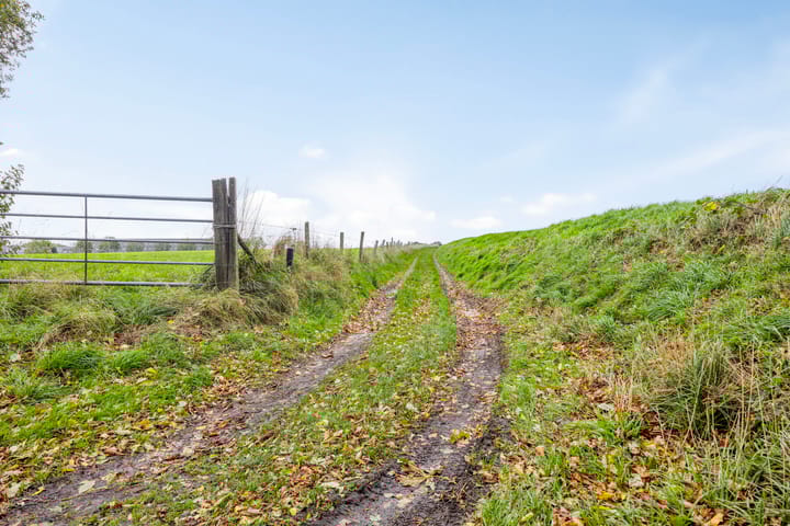 Photo 34 of Honthem 11