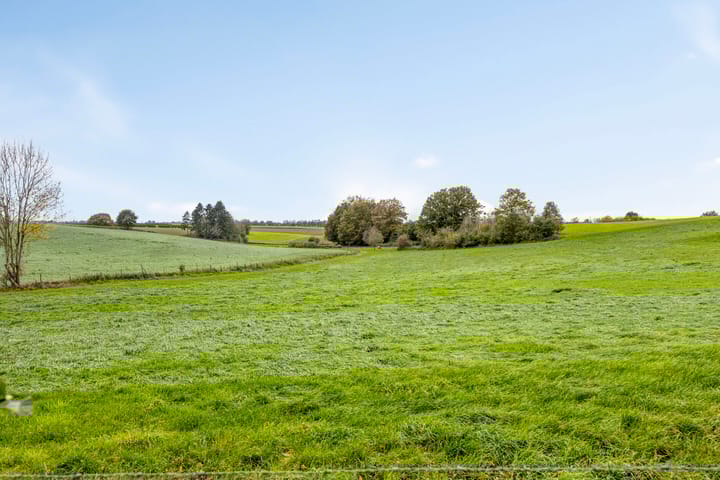 Photo 35 of Honthem 11