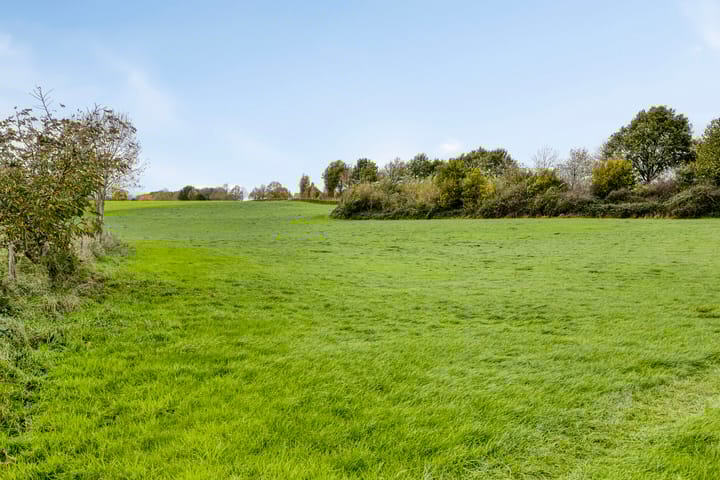 Photo 36 of Honthem 11