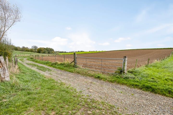 Photo 37 of Honthem 11