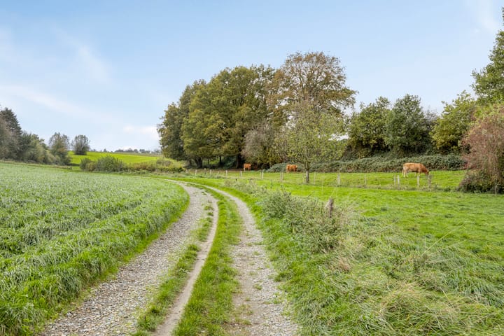 Photo 38 of Honthem 11