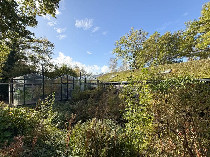 Foto 14 van Nesdijk 20-B