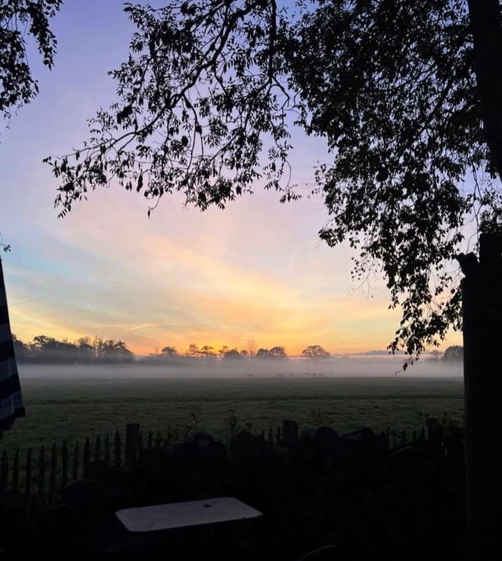 Foto 12 van Nesdijk 20-B