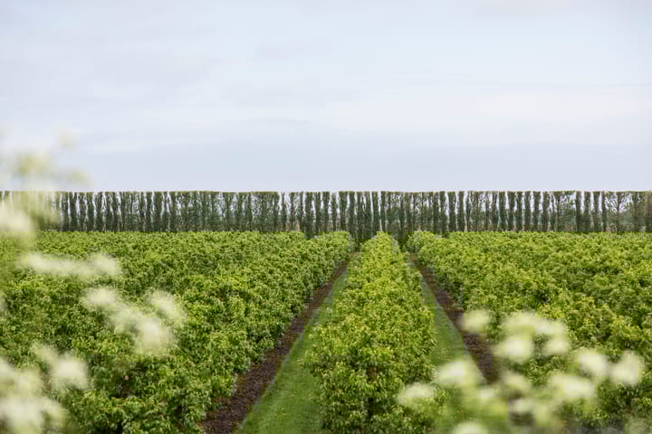 Foto 26 van Noordweg 9