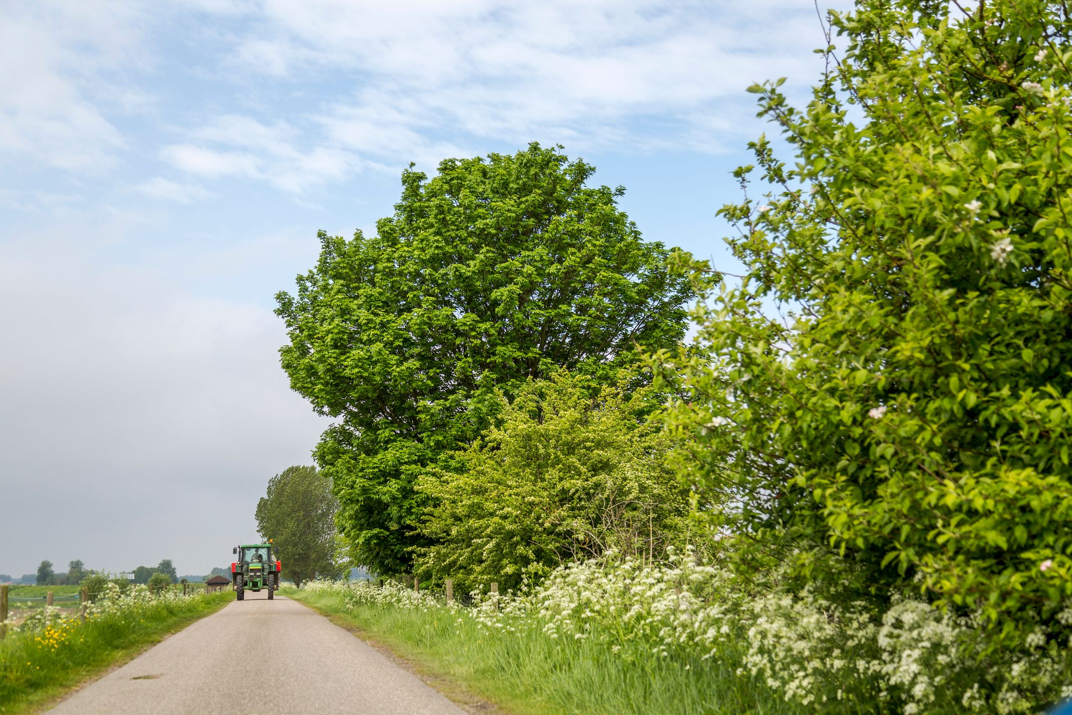 Foto 27 van Noordweg 9