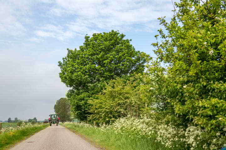 Foto 27 van Noordweg 9