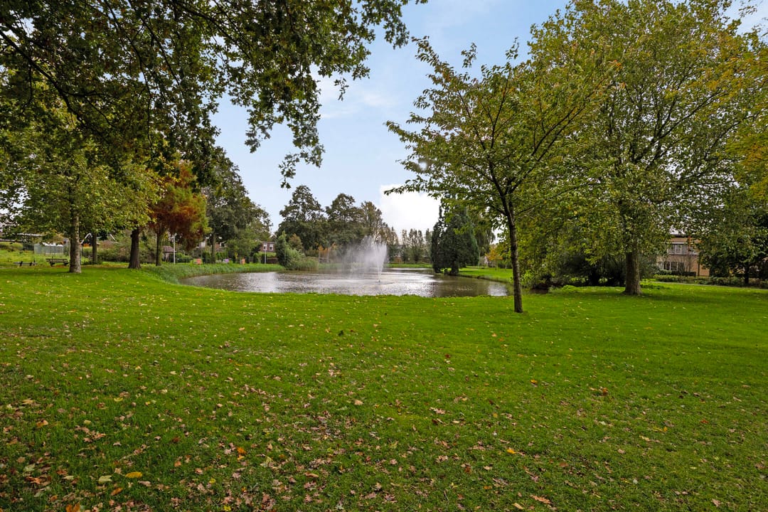 Foto 31 van Dorpsweg 79