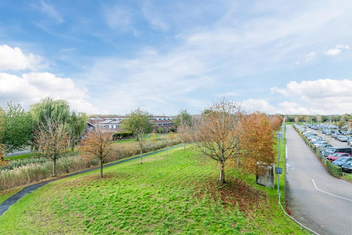 Photo 5 of Rottumeroog 170