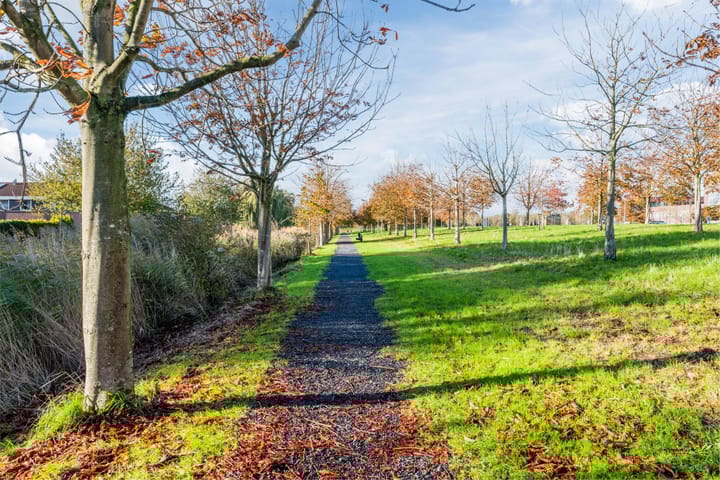 Photo 24 of Rottumeroog 170