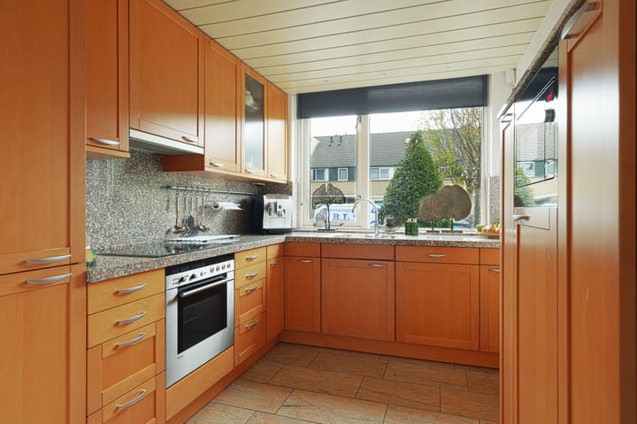 Foto 12 van Molenaar 10