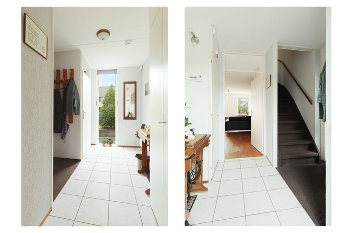 Foto 16 van Molenaar 10