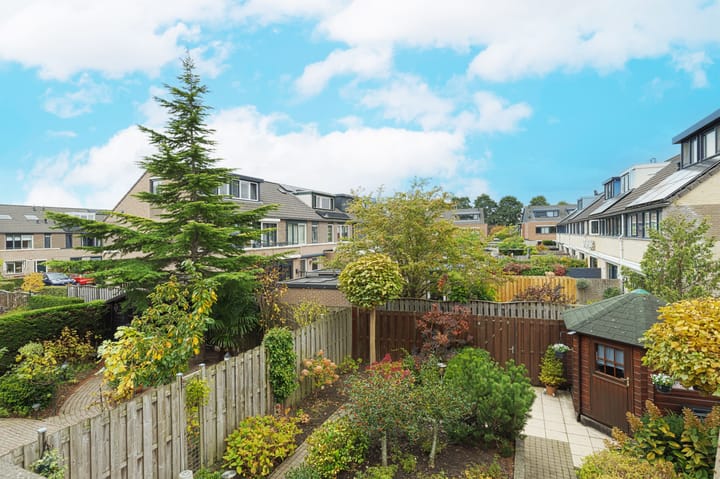 Foto 32 van Molenaar 10