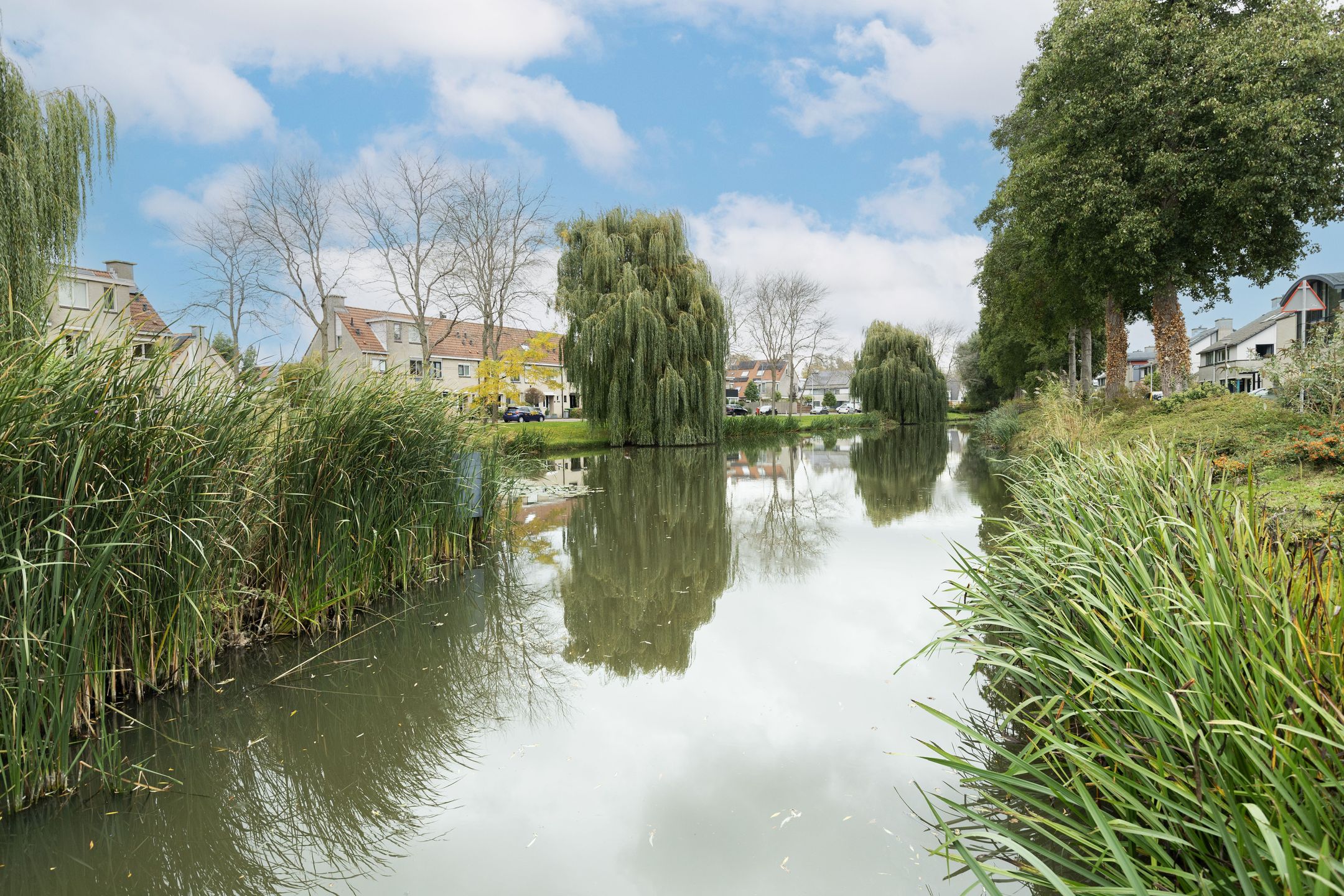 Photo 39 of Molenaar 10