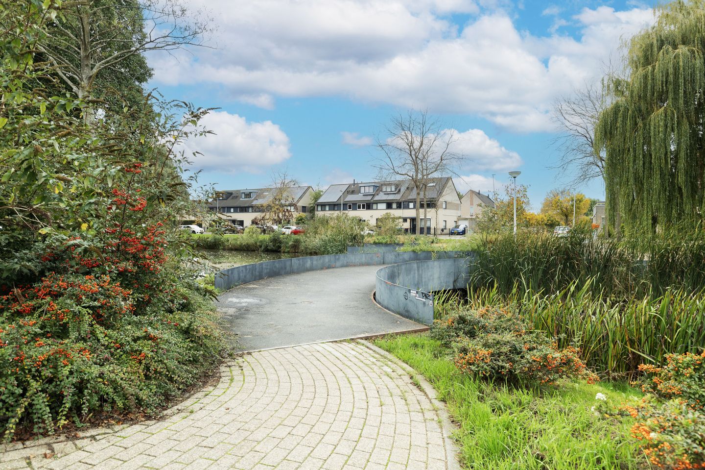 Photo 40 of Molenaar 10