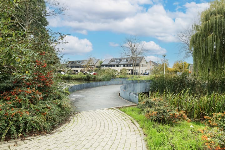 Foto 40 van Molenaar 10