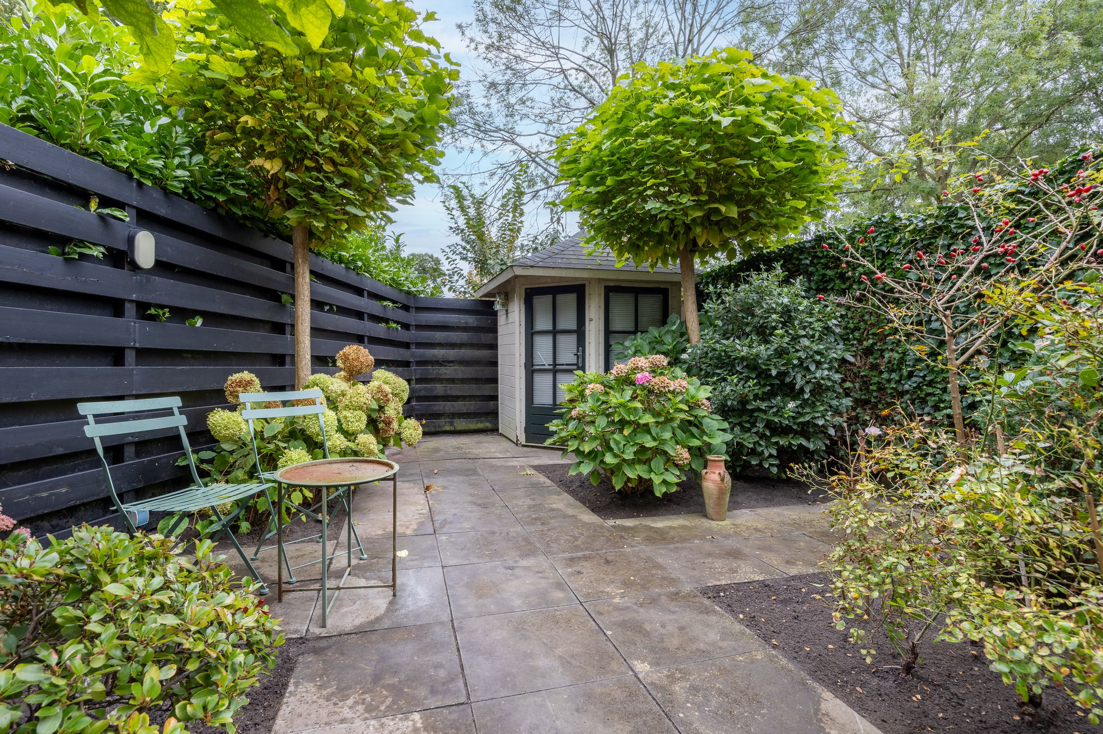 Foto 3 van Knosterveld 1