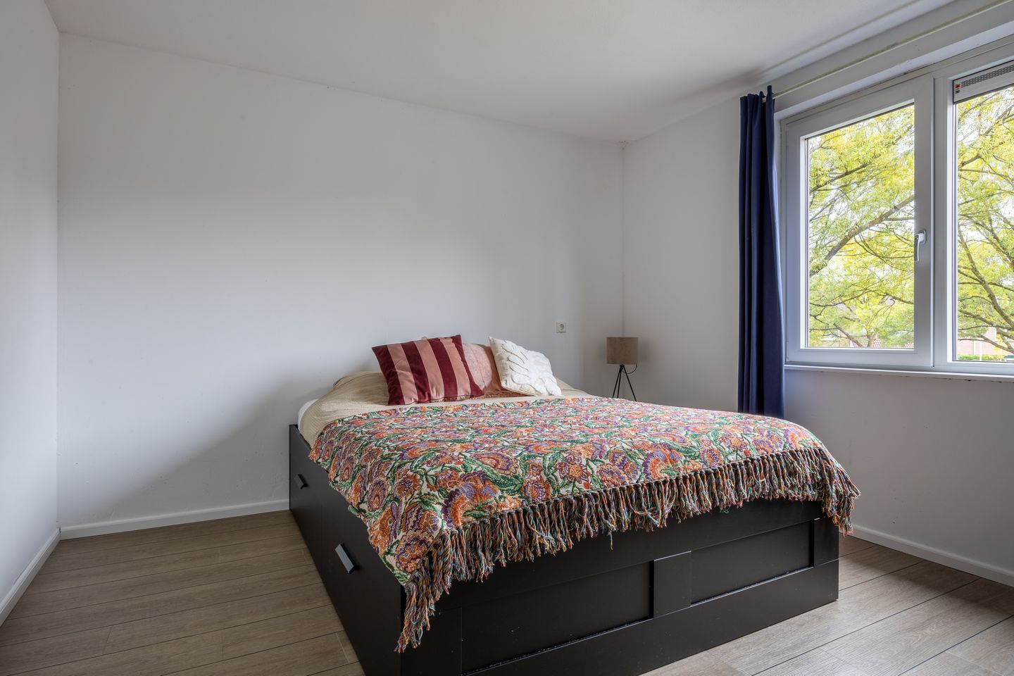 Foto 14 van Knosterveld 1