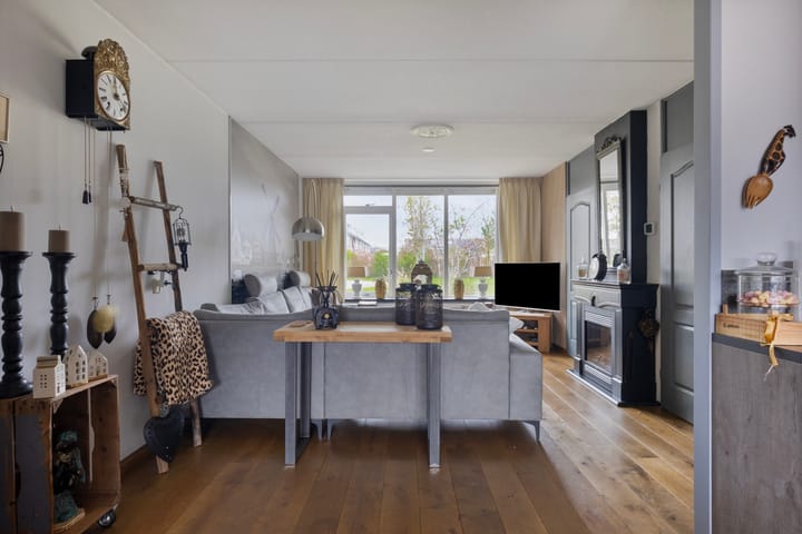 Foto 5 van Speelmansplaat 36