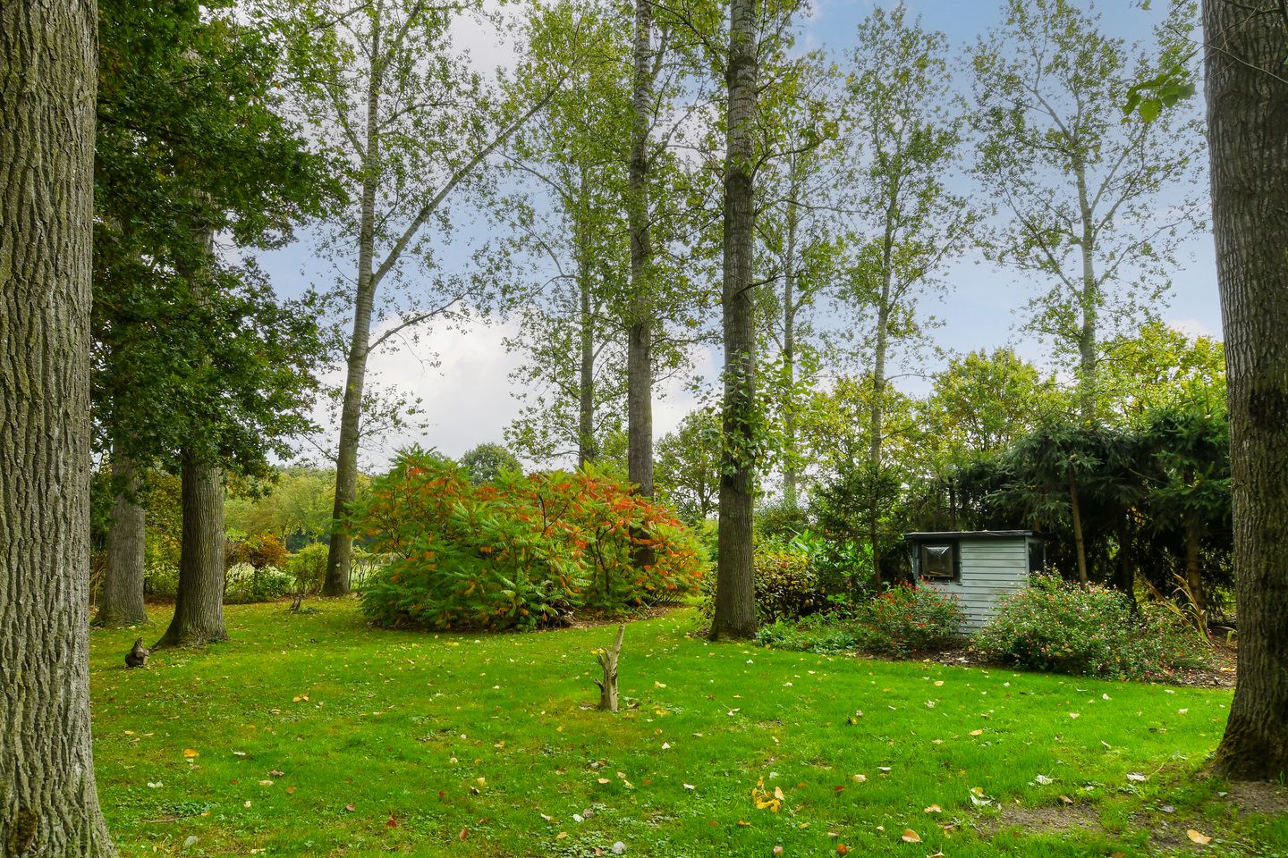 View photo 4 of Aan het Broek