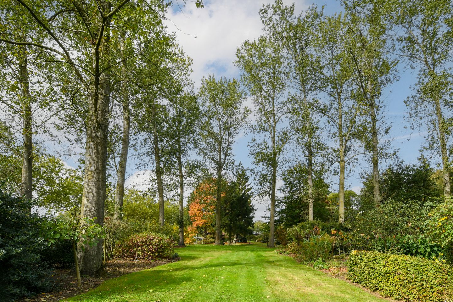 View photo 5 of Aan het Broek