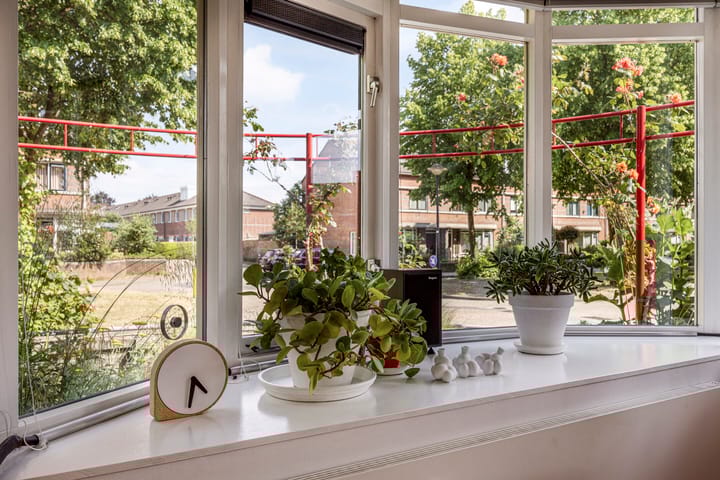 Foto 15 van Coelhorsterappelgaarde 17