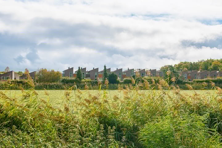 Photo 2 of Maandagstraat 44