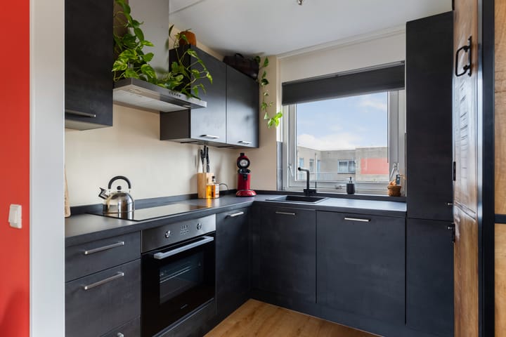 Photo 3 of Galjoen 89