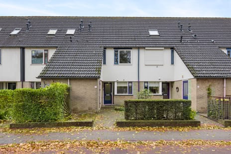 undefined main image