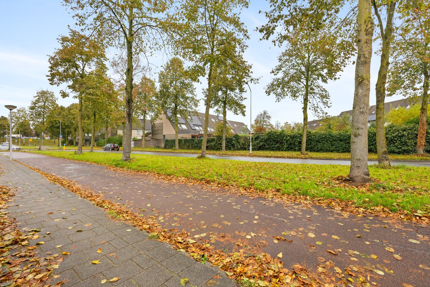 Photo 34 of Suze Robertsonstraat 27