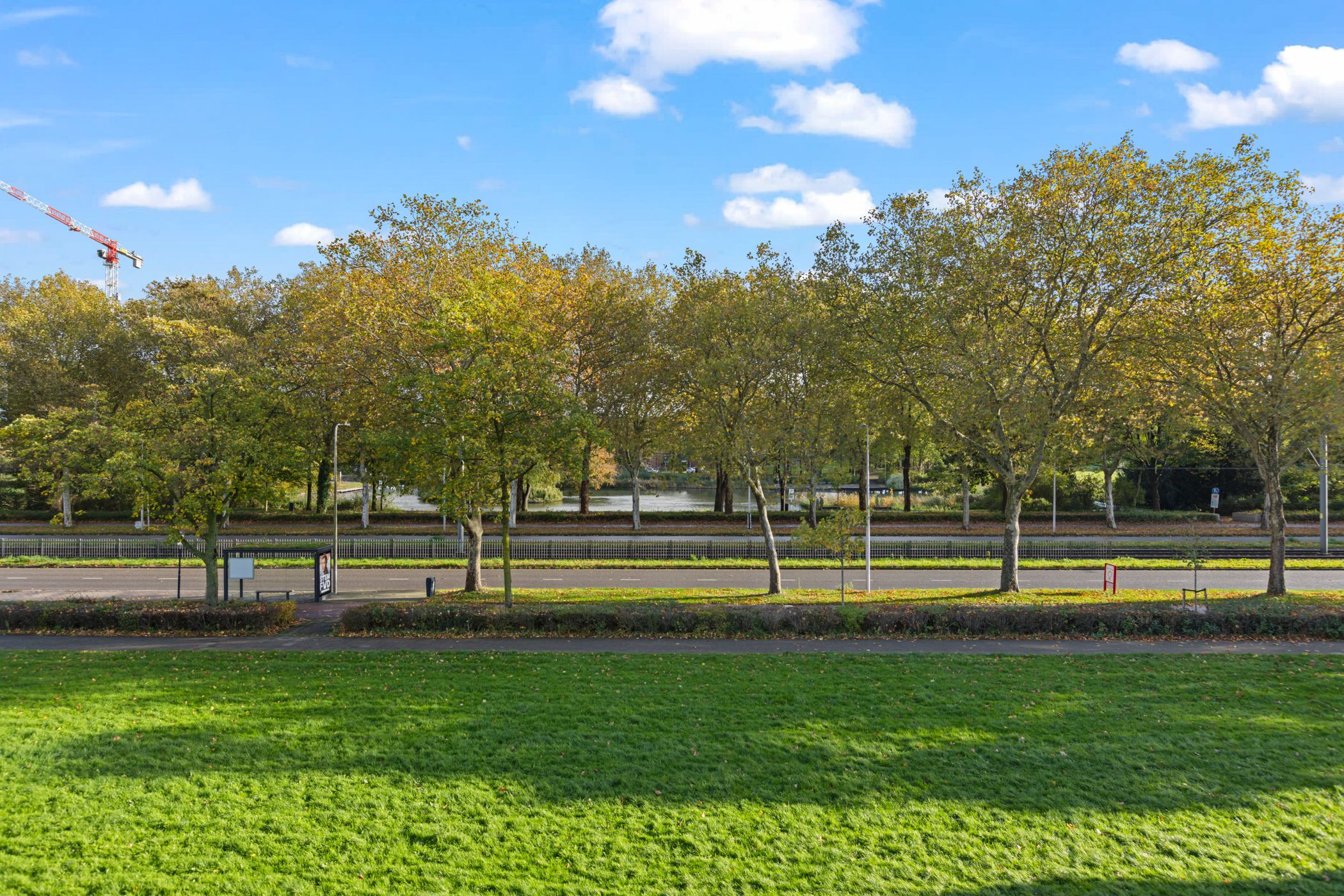 Foto 3 van Livingstonelaan 400