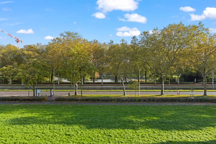 Foto 3 van Livingstonelaan 400