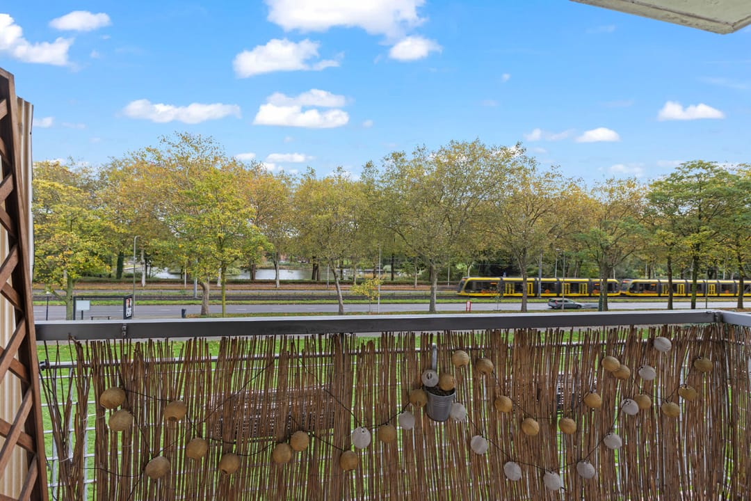 Foto 17 van Livingstonelaan 400