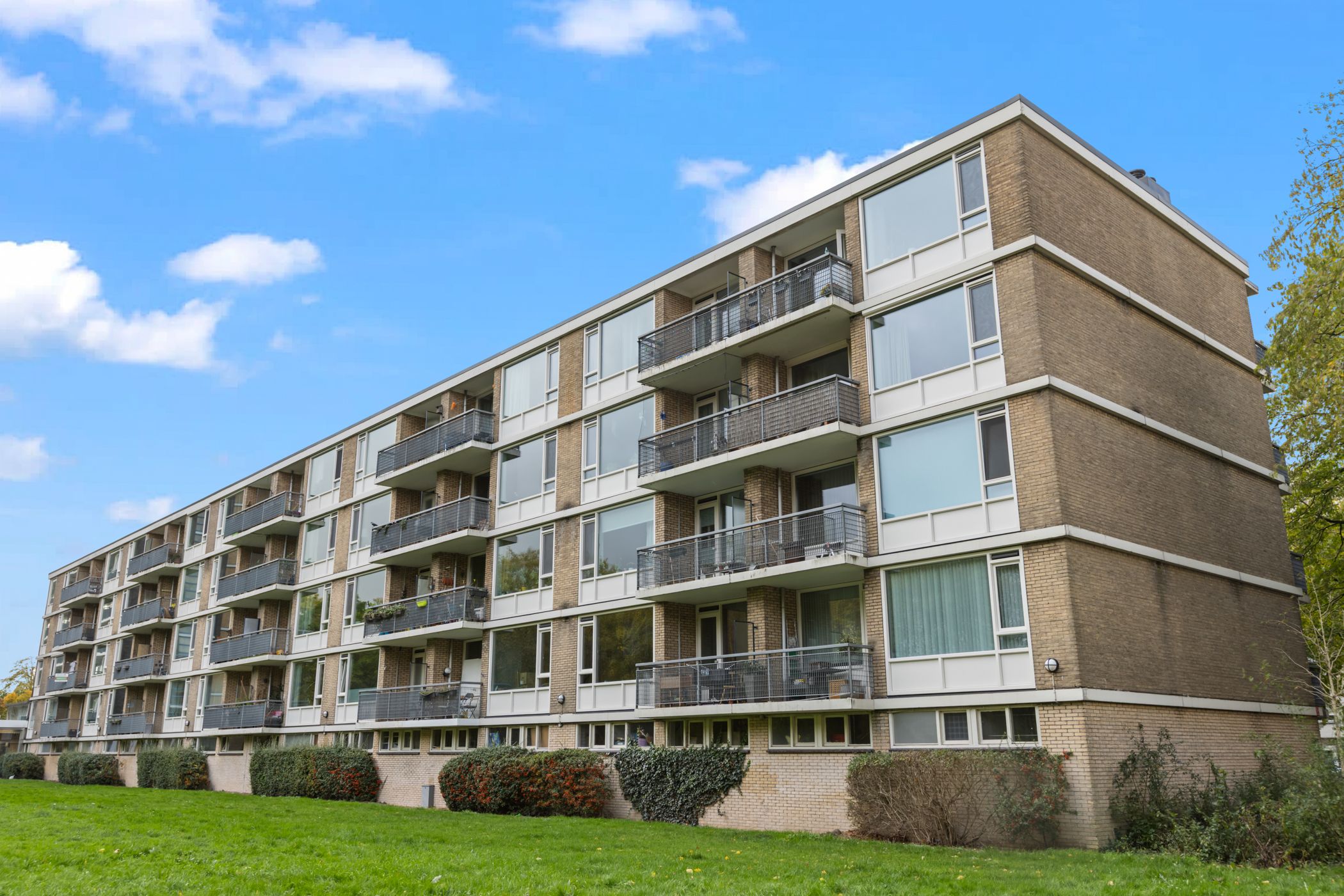 Foto 24 van Livingstonelaan 400