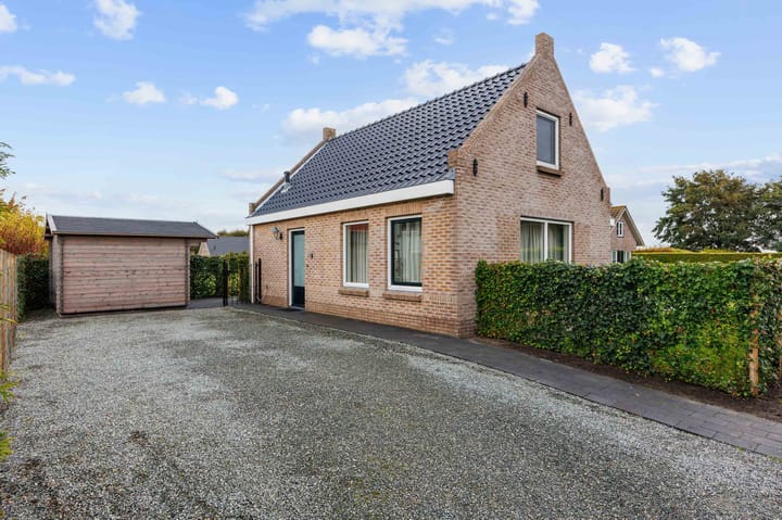 Photo 7 of Bargereed 31