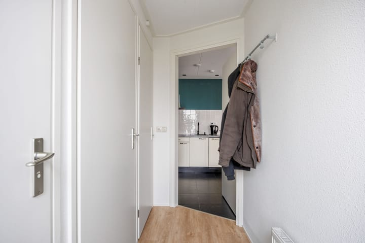 Photo 10 of Bargereed 31