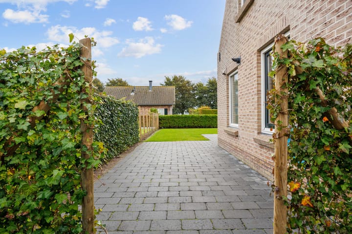 Photo 43 of Bargereed 31