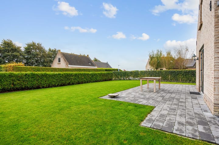 Photo 45 of Bargereed 31