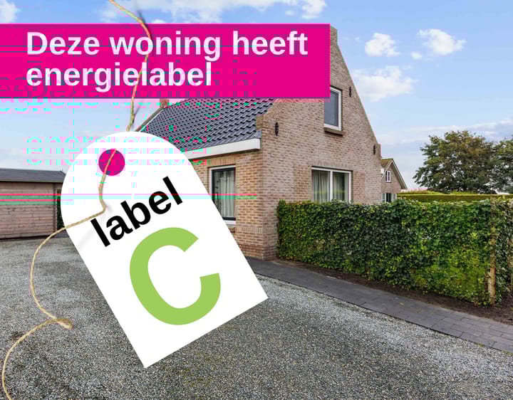 Photo 51 of Bargereed 31