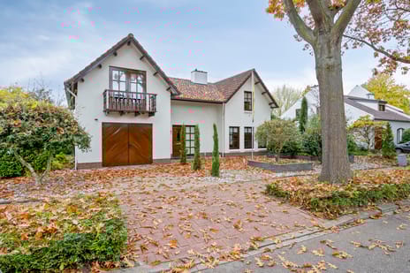 undefined main image