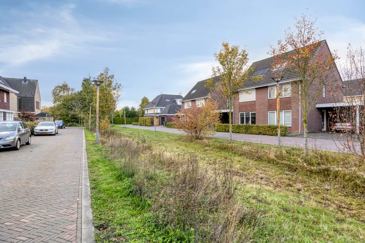 Foto 30 van Kruidnagel 14