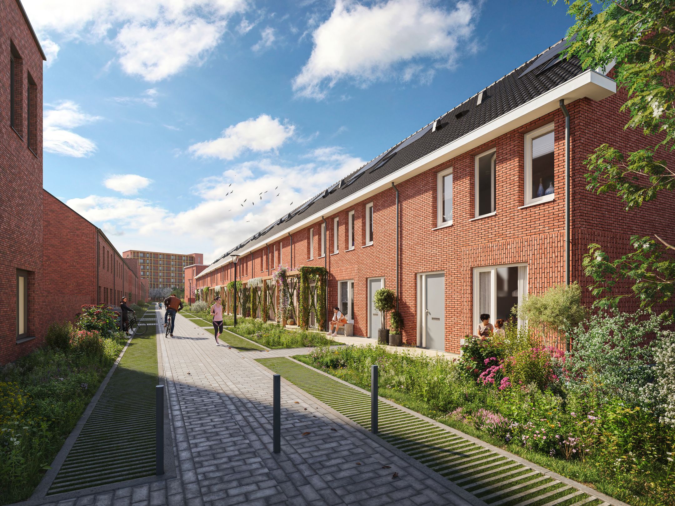 Druif (Bouwnr. 20)  false