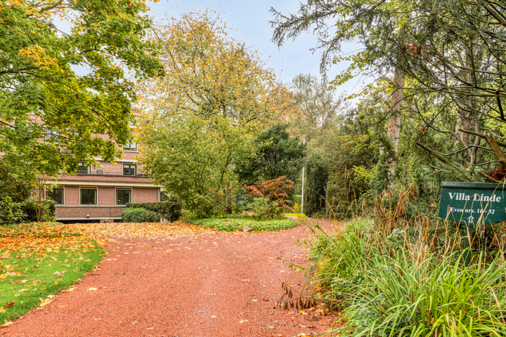 Photo 5 of de Decanije 30