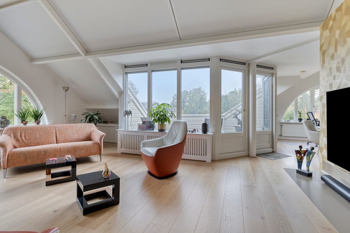 Photo 18 of de Decanije 30