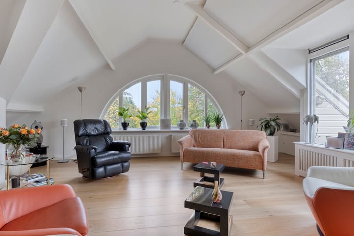 Photo 19 of de Decanije 30