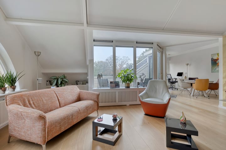 Photo 22 of de Decanije 30