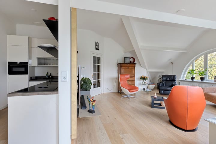 Photo 23 of de Decanije 30