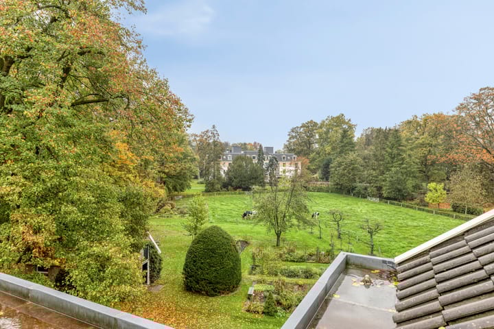 Photo 36 of de Decanije 30