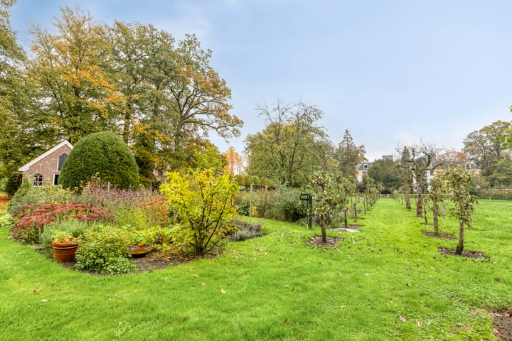 Photo 40 of de Decanije 30